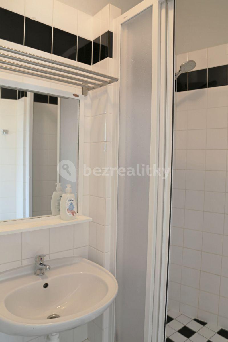 1 bedroom with open-plan kitchen flat to rent, 75 m², Na Zbořenci, Prague, Prague