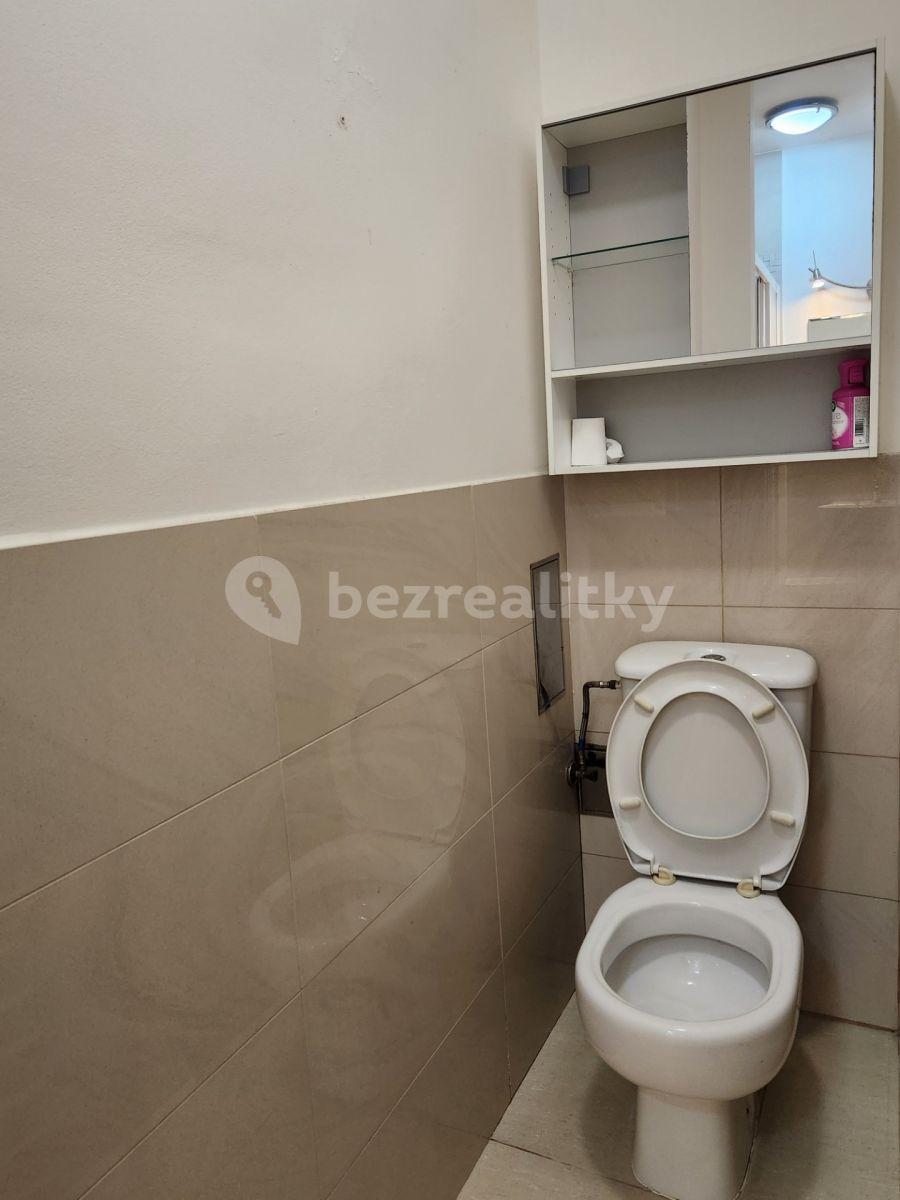1 bedroom with open-plan kitchen flat to rent, 46 m², Českomalínská, Prague, Prague