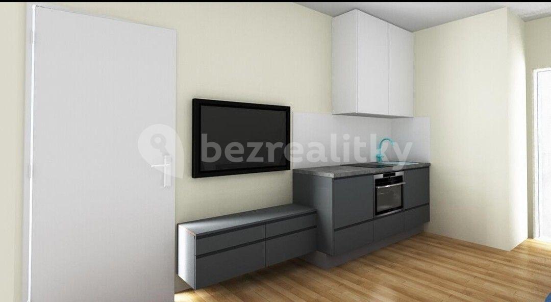 1 bedroom with open-plan kitchen flat to rent, 40 m², Růžodolská, Prague, Prague