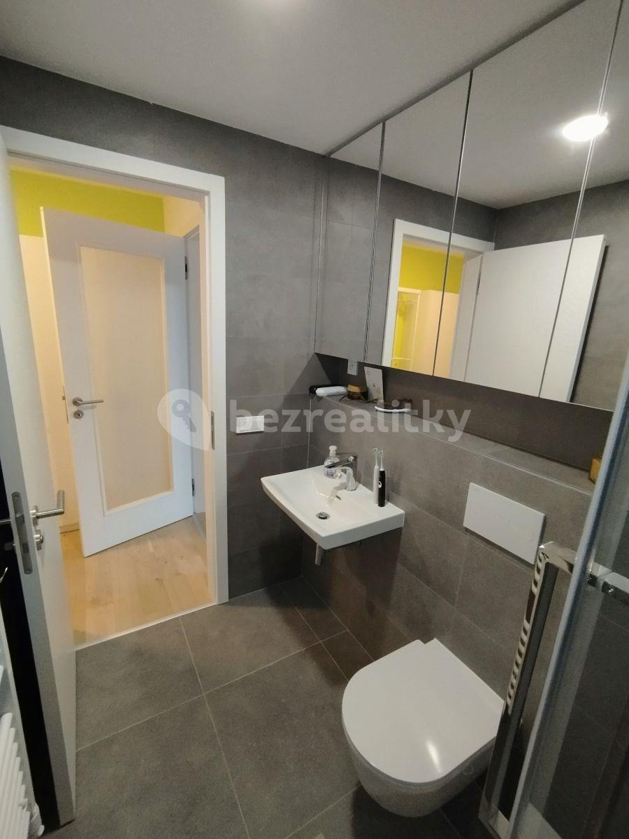 1 bedroom with open-plan kitchen flat to rent, 40 m², Růžodolská, Prague, Prague