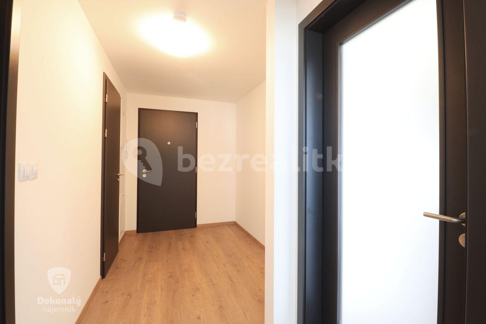 1 bedroom with open-plan kitchen flat to rent, 57 m², Malkovského, Prague, Prague