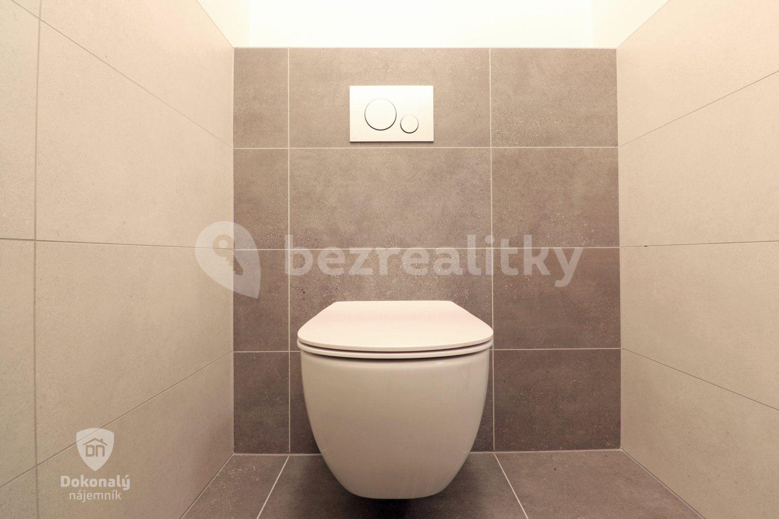 1 bedroom with open-plan kitchen flat to rent, 57 m², Malkovského, Prague, Prague