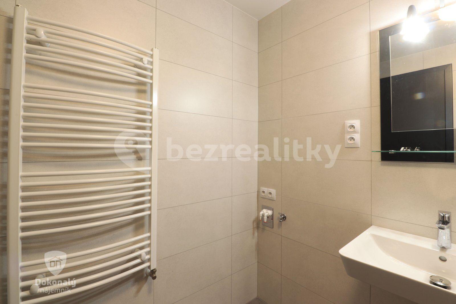 1 bedroom with open-plan kitchen flat to rent, 57 m², Malkovského, Prague, Prague