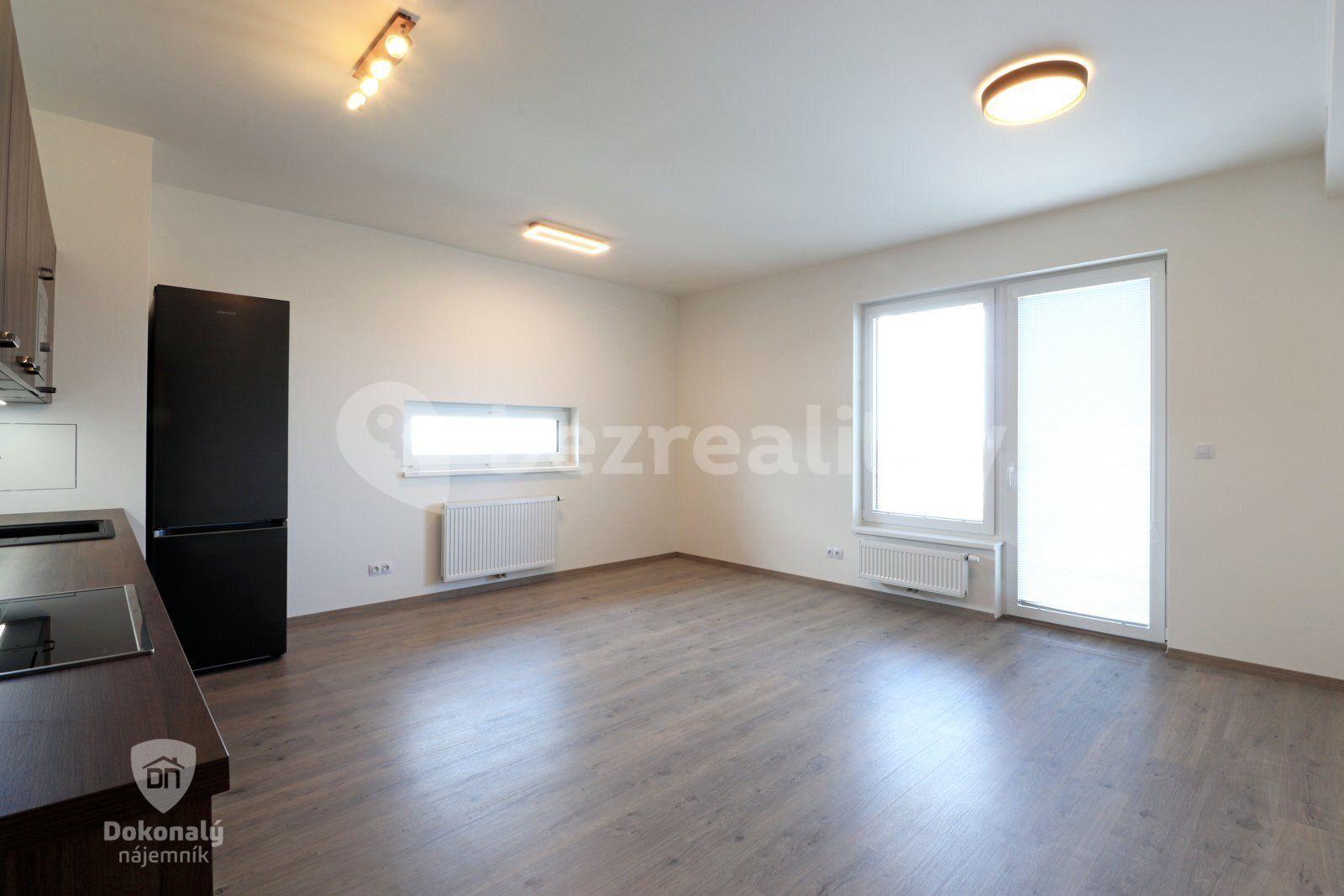 1 bedroom with open-plan kitchen flat to rent, 57 m², Malkovského, Prague, Prague