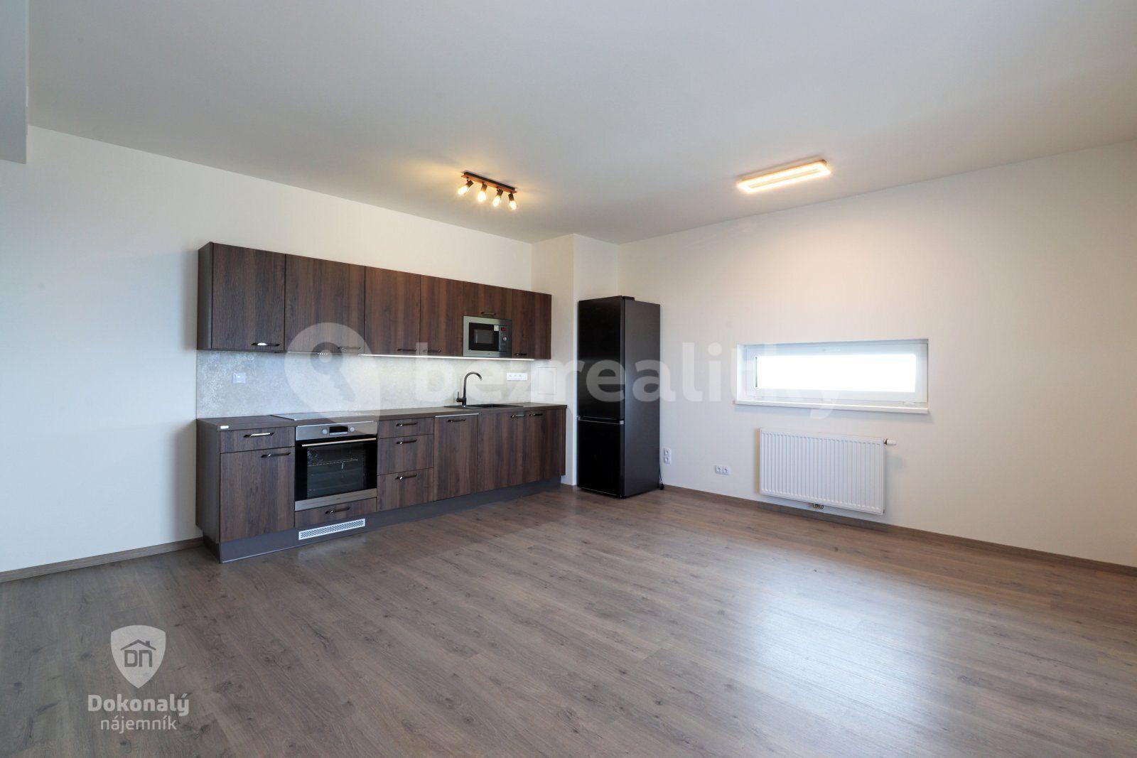 1 bedroom with open-plan kitchen flat to rent, 57 m², Malkovského, Prague, Prague