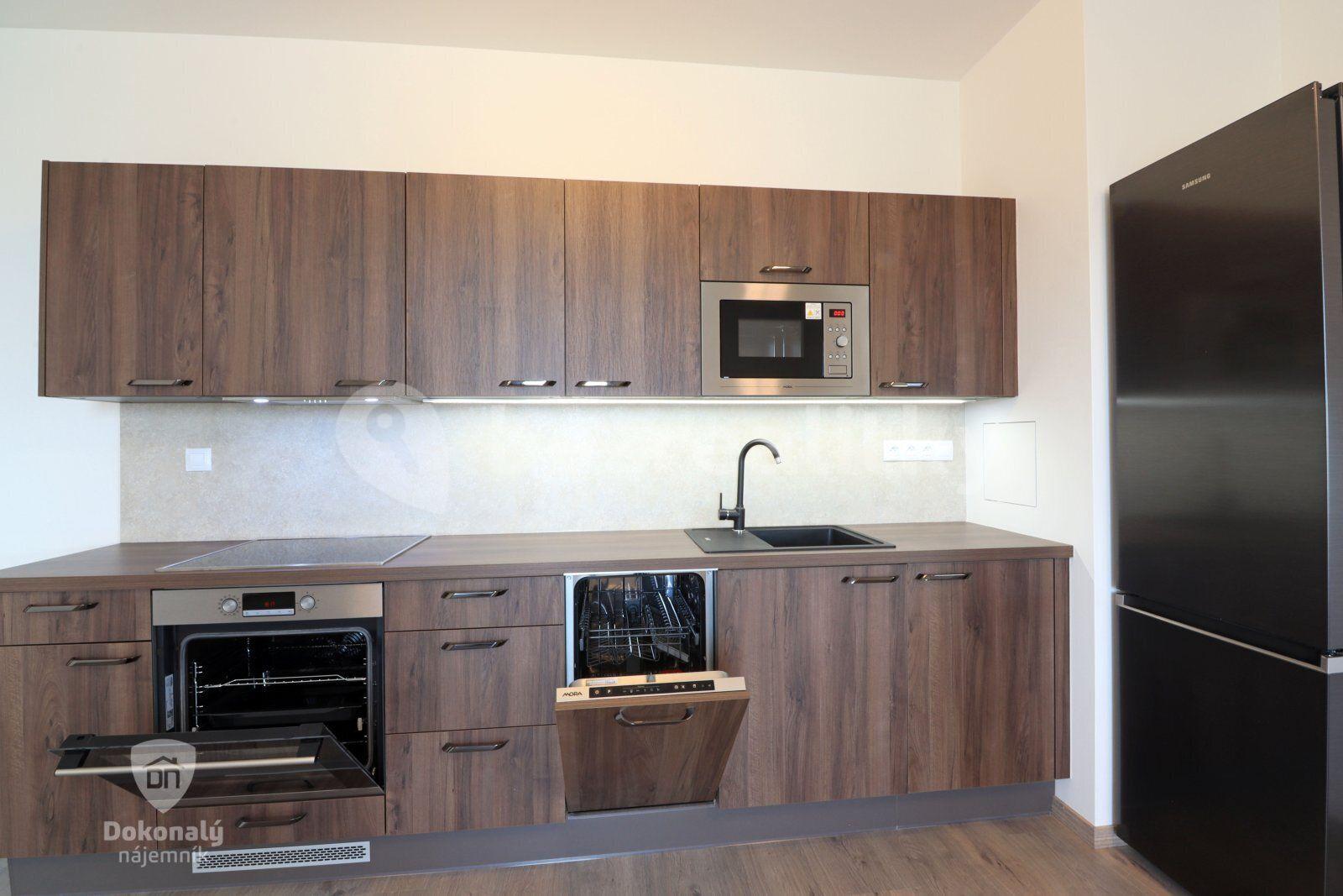 1 bedroom with open-plan kitchen flat to rent, 57 m², Malkovského, Prague, Prague