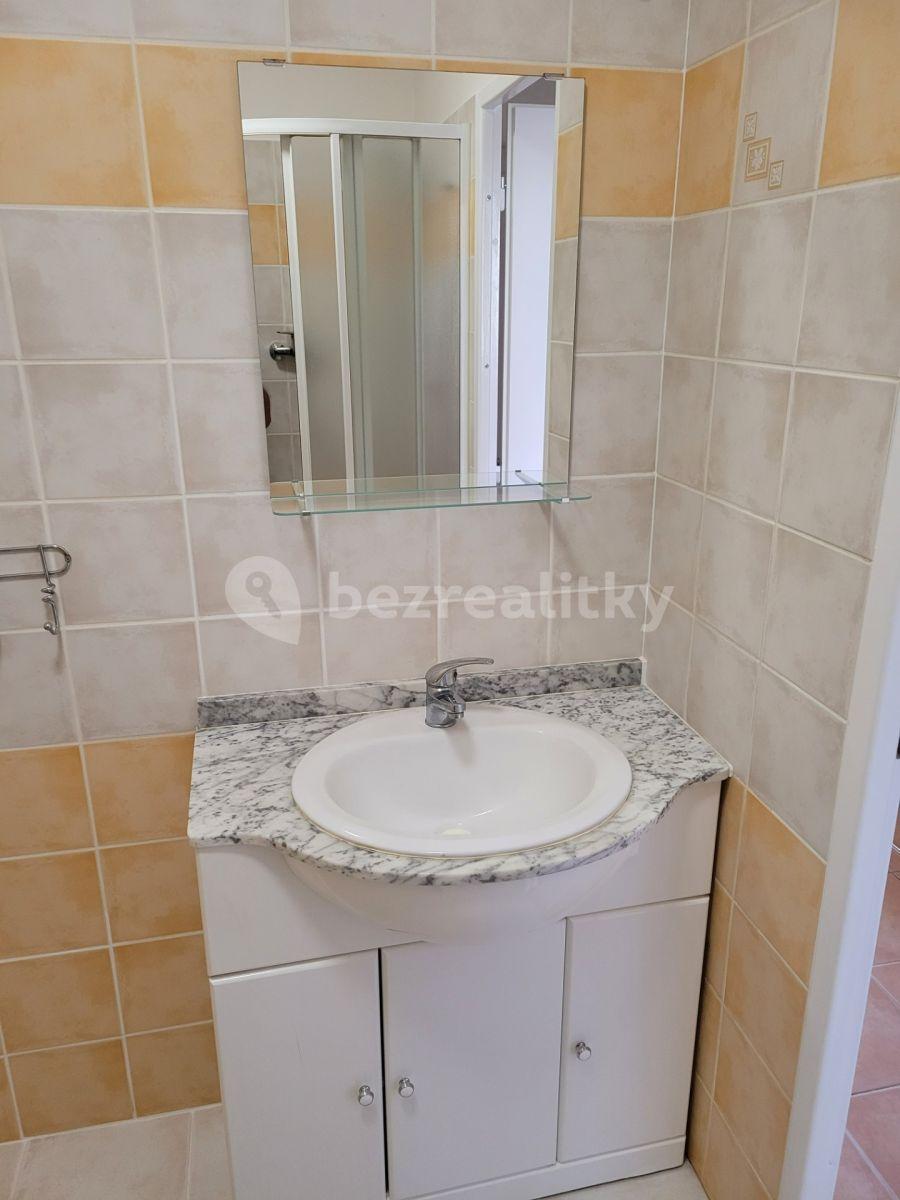 1 bedroom with open-plan kitchen flat to rent, 42 m², Pšenčíkova, Prague, Prague