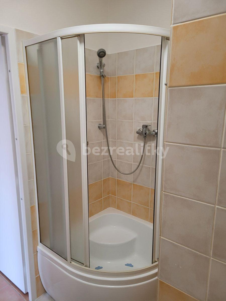 1 bedroom with open-plan kitchen flat to rent, 42 m², Pšenčíkova, Prague, Prague