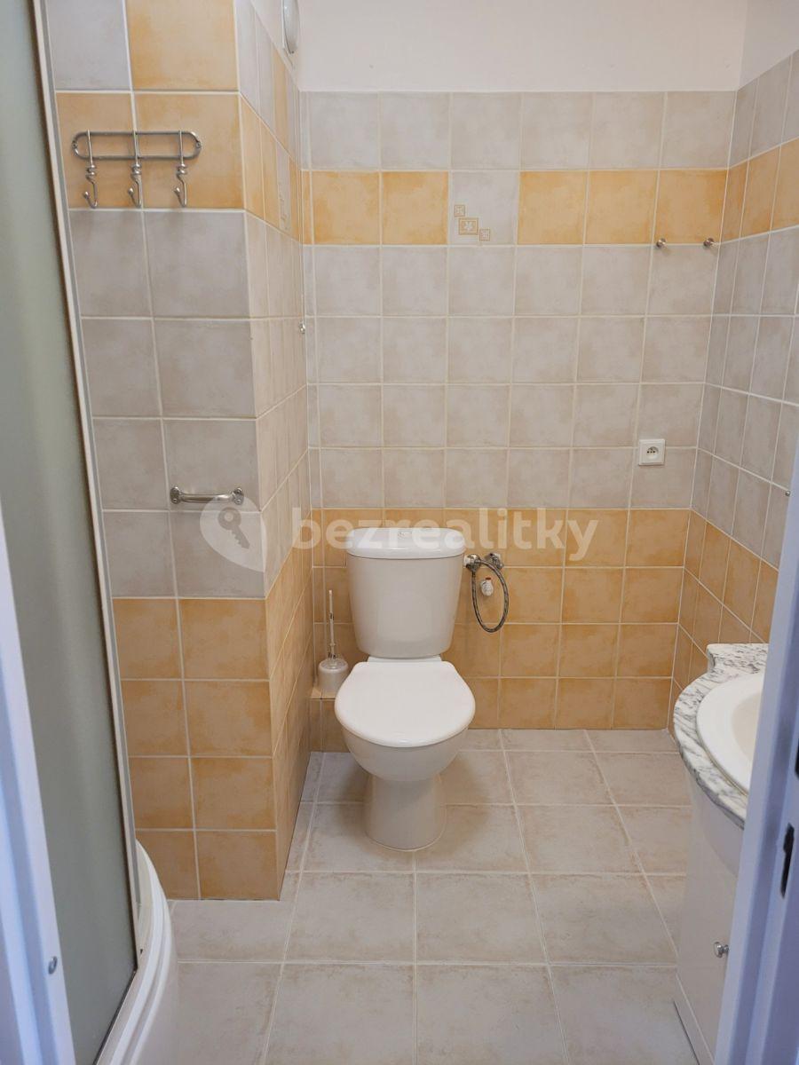 1 bedroom with open-plan kitchen flat to rent, 42 m², Pšenčíkova, Prague, Prague