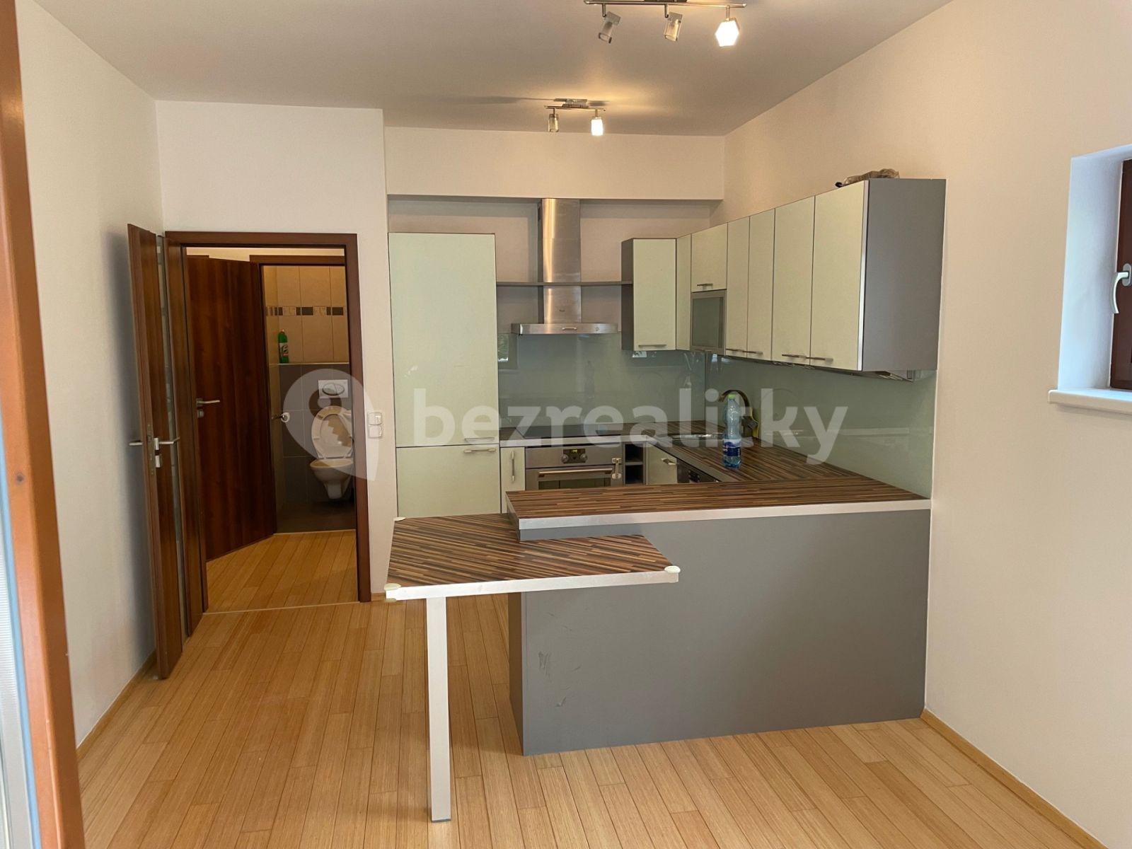 1 bedroom with open-plan kitchen flat for sale, 45 m², Vladycká, Prague, Prague
