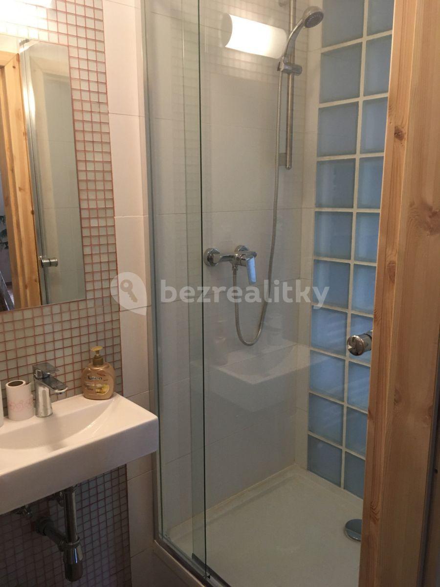 Studio flat to rent, 32 m², Bělohorská, Prague, Prague