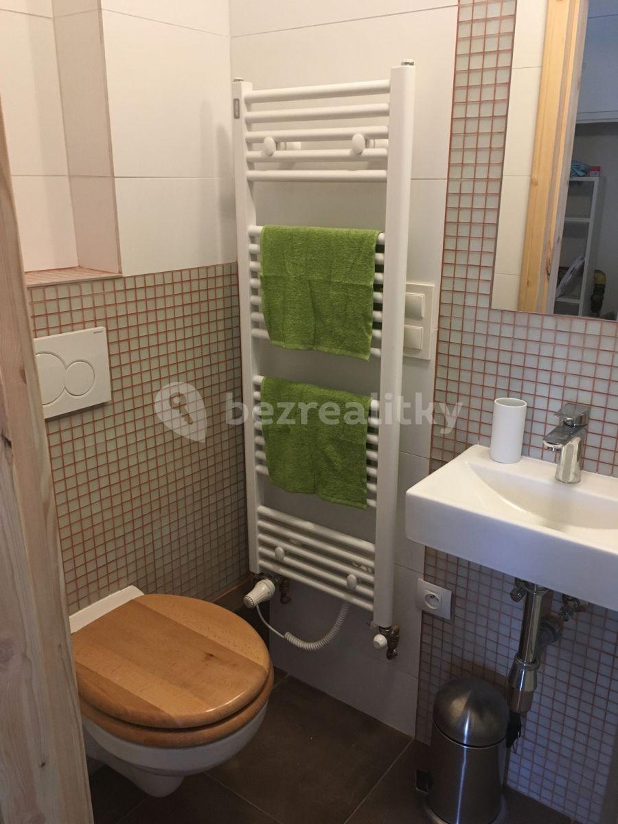 Studio flat to rent, 32 m², Bělohorská, Prague, Prague