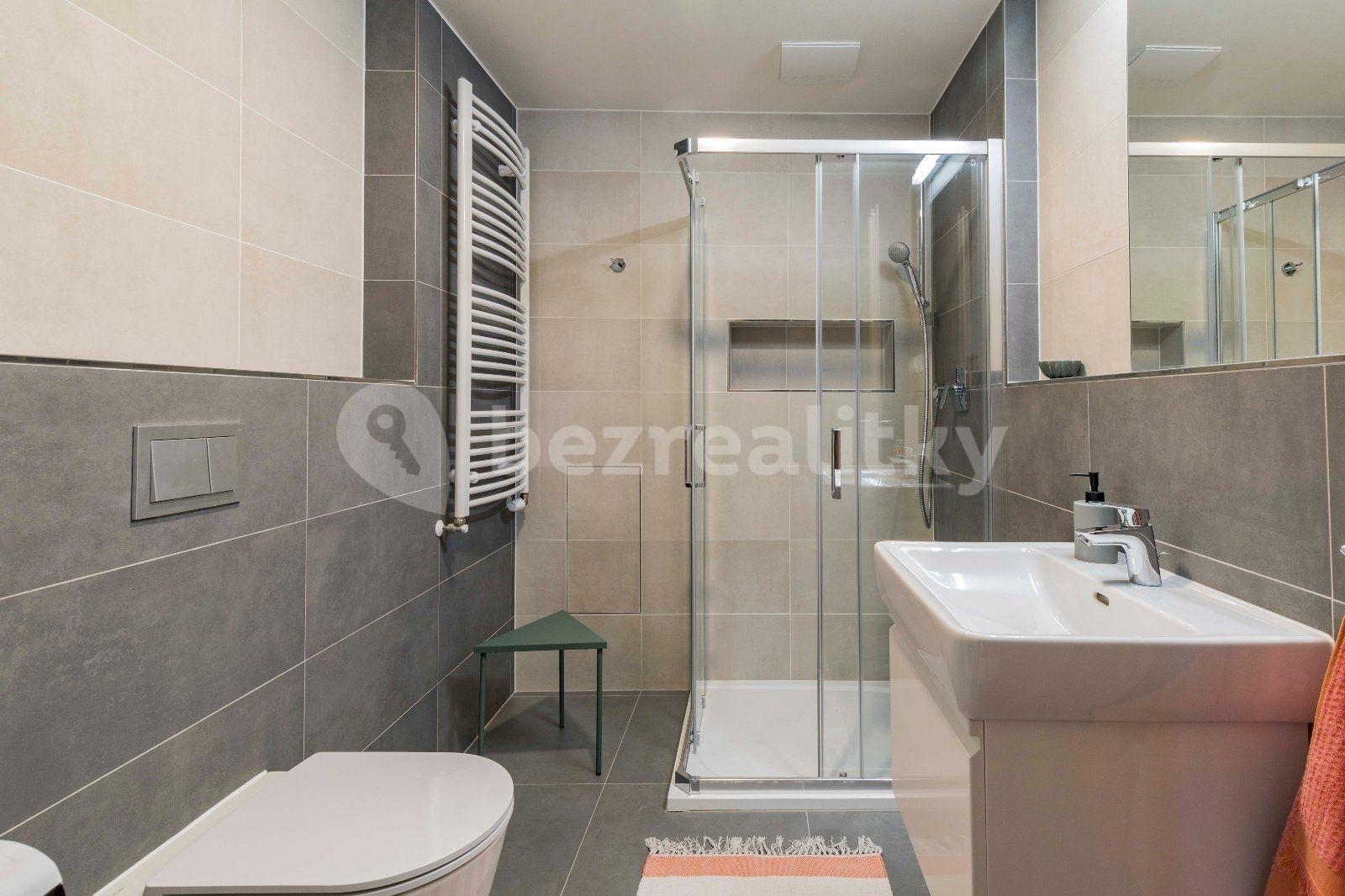 1 bedroom with open-plan kitchen flat to rent, 56 m², U Pergamenky, Prague, Prague