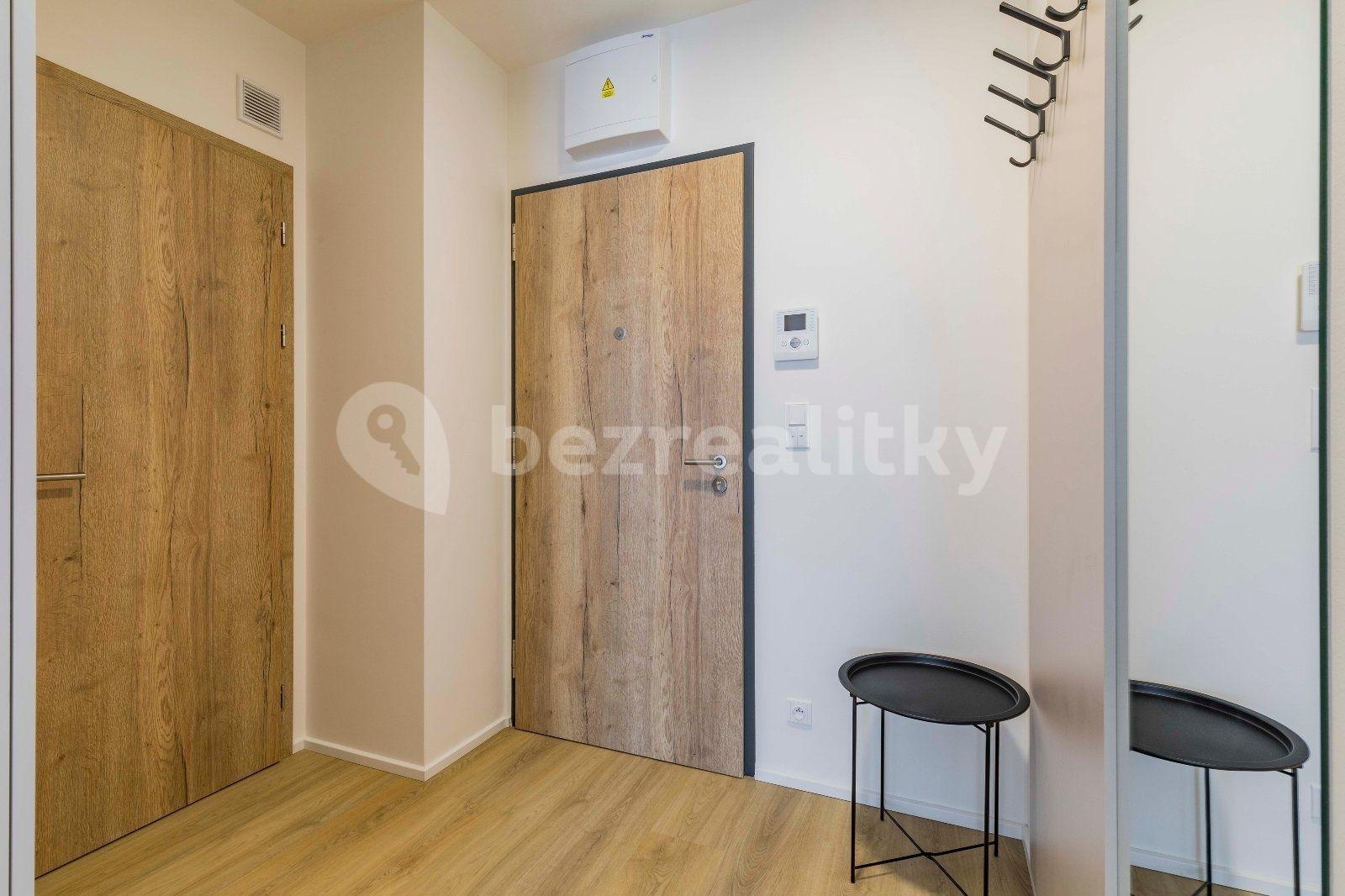 1 bedroom with open-plan kitchen flat to rent, 56 m², U Pergamenky, Prague, Prague