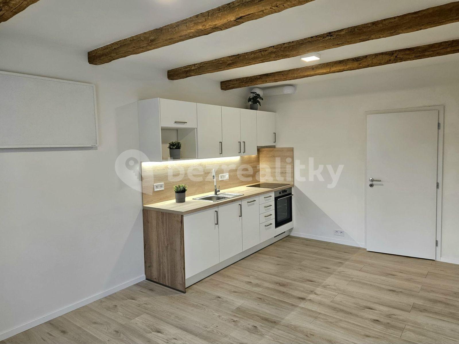 1 bedroom with open-plan kitchen flat to rent, 42 m², Libenice, Středočeský Region