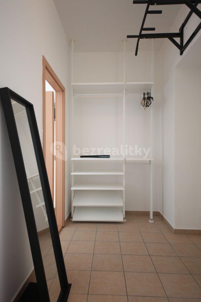 1 bedroom with open-plan kitchen flat to rent, 36 m², Plzeňská, Prague, Prague