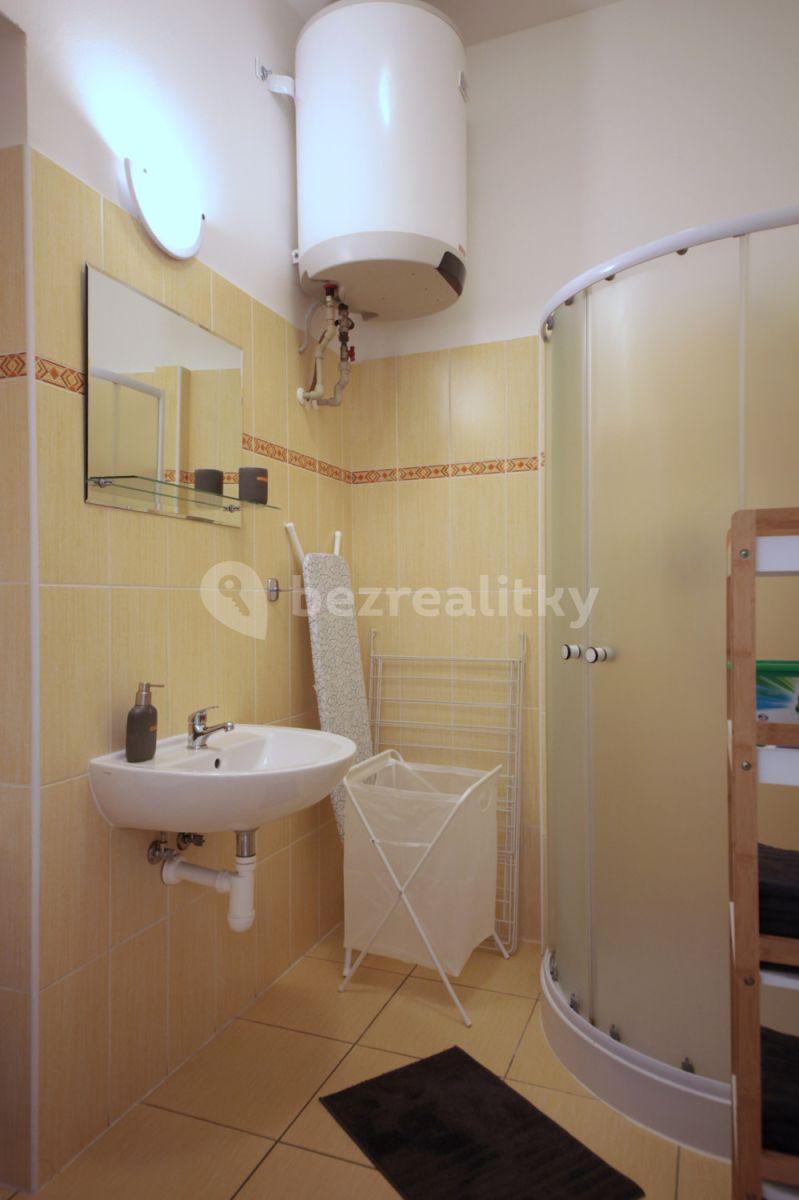 1 bedroom with open-plan kitchen flat to rent, 36 m², Plzeňská, Prague, Prague