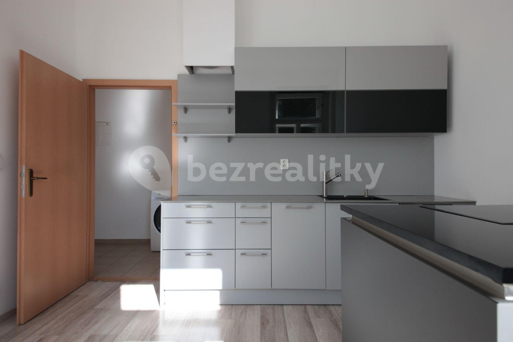 1 bedroom with open-plan kitchen flat to rent, 36 m², Plzeňská, Prague, Prague