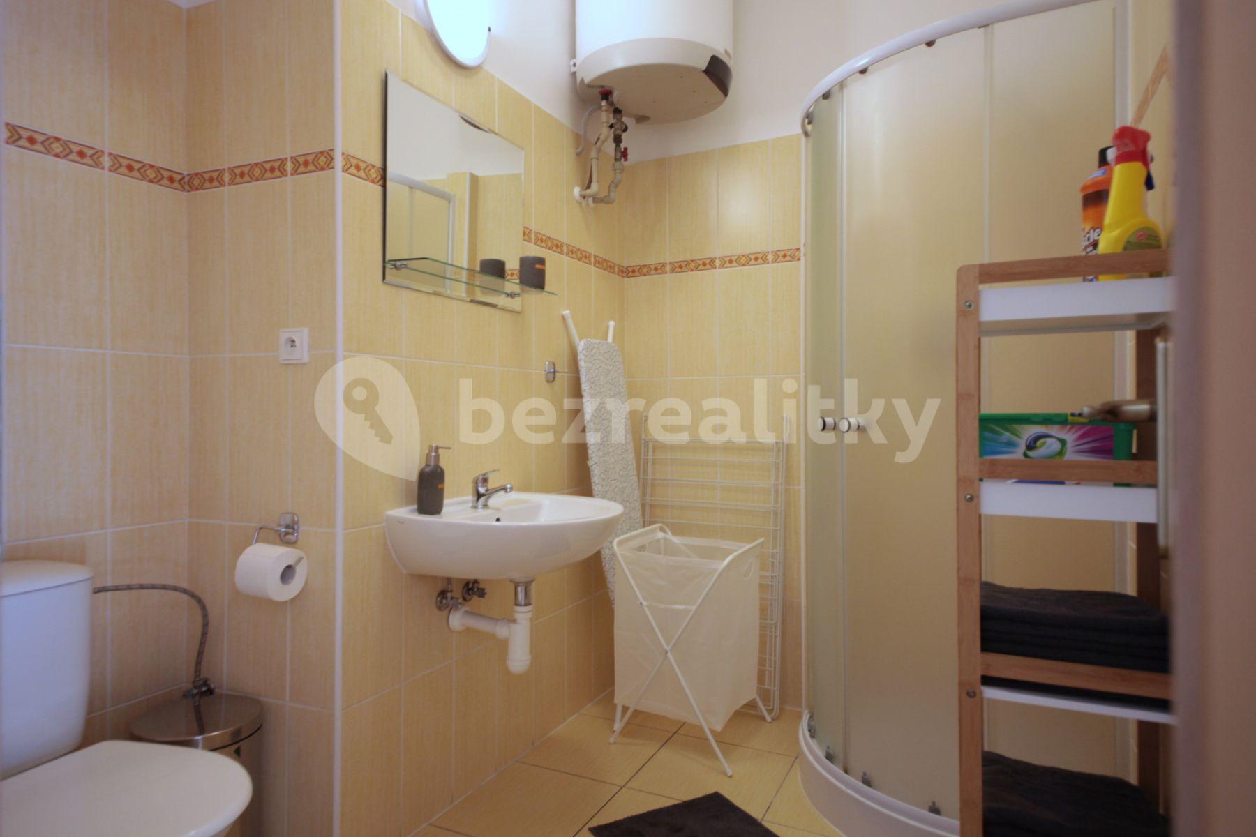 1 bedroom with open-plan kitchen flat to rent, 36 m², Plzeňská, Prague, Prague