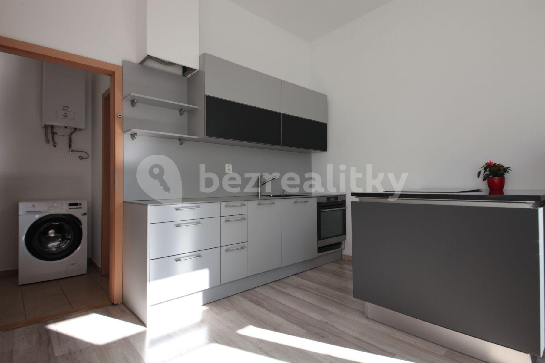 1 bedroom with open-plan kitchen flat to rent, 36 m², Plzeňská, Prague, Prague