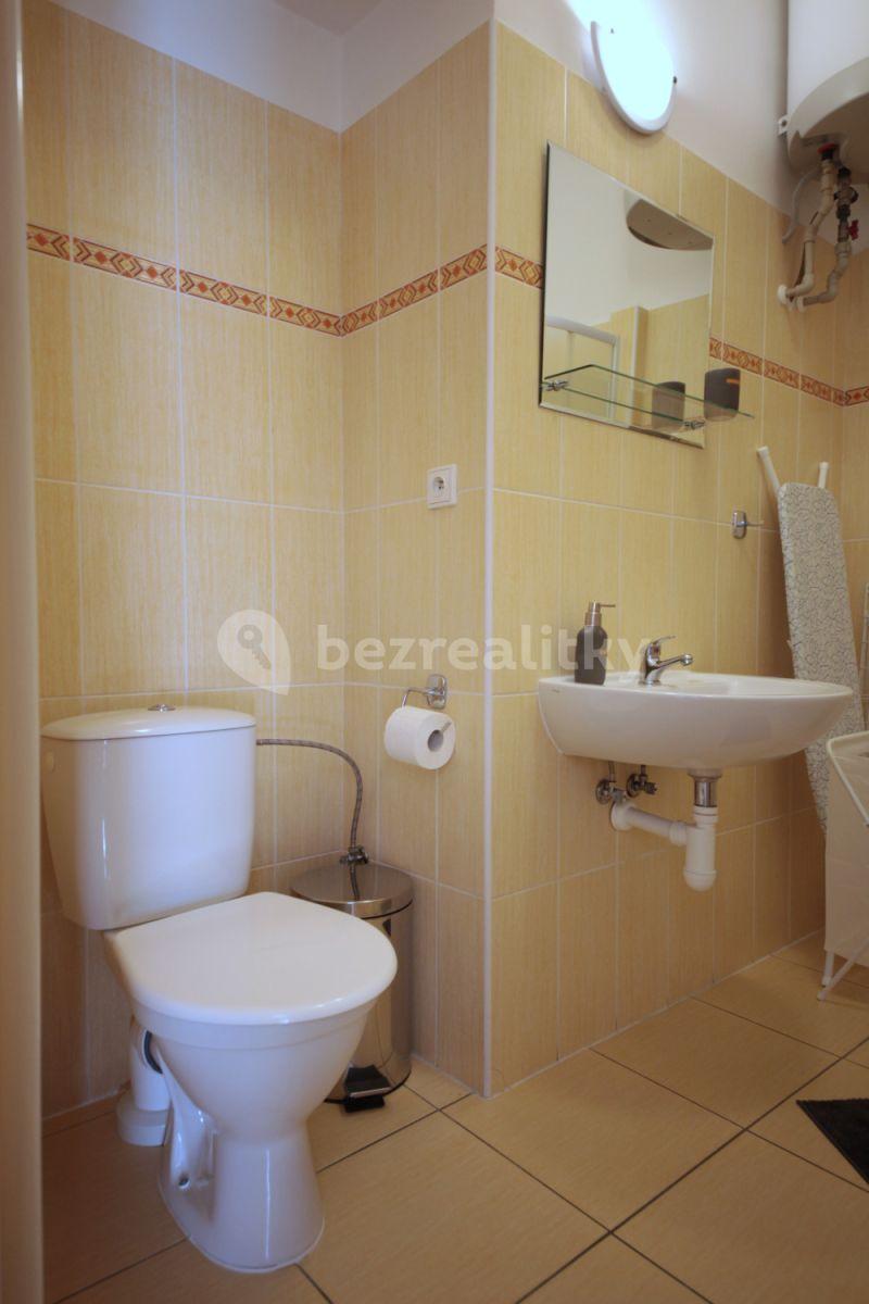 1 bedroom with open-plan kitchen flat to rent, 36 m², Plzeňská, Prague, Prague