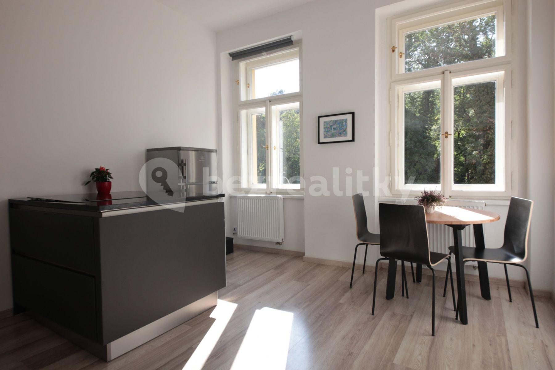 1 bedroom with open-plan kitchen flat to rent, 36 m², Plzeňská, Prague, Prague