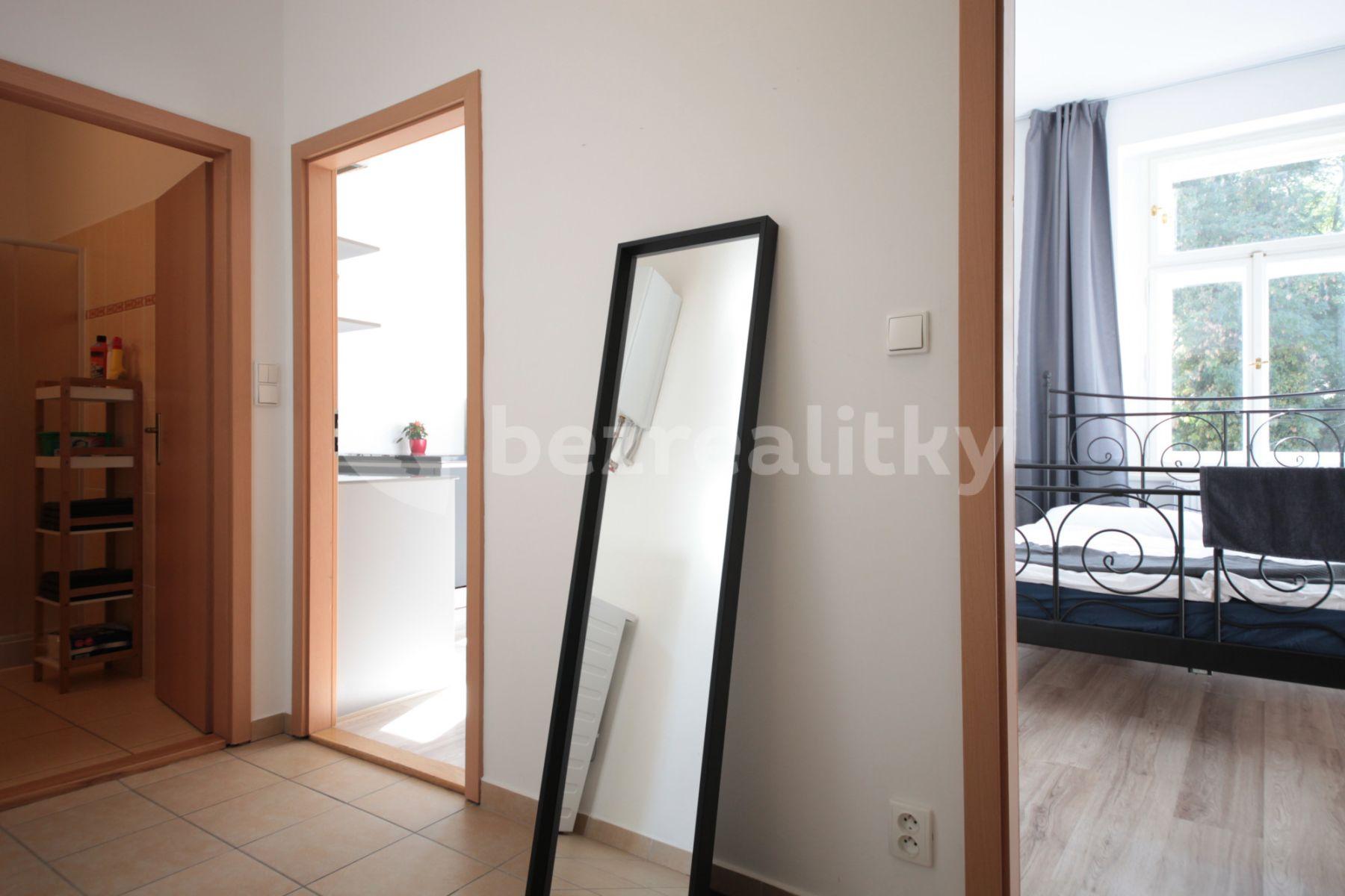 1 bedroom with open-plan kitchen flat to rent, 36 m², Plzeňská, Prague, Prague