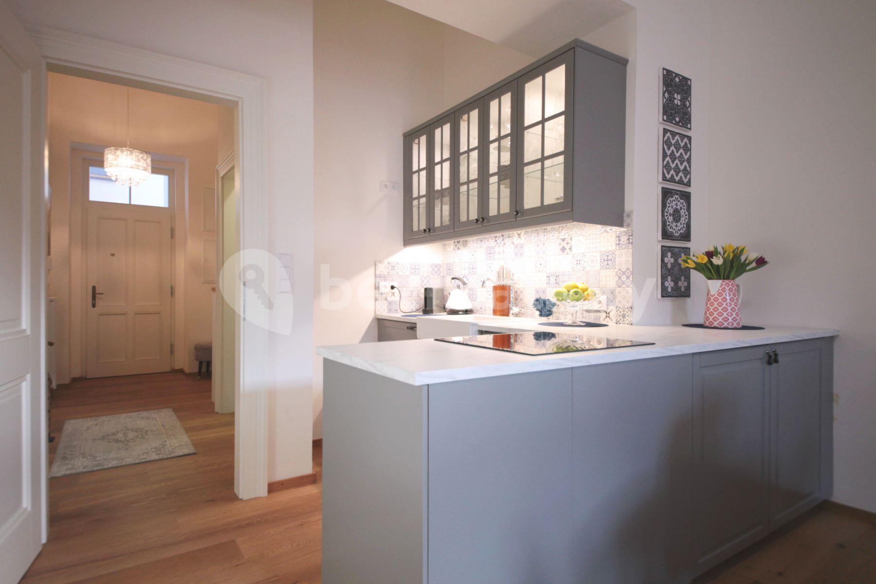 1 bedroom with open-plan kitchen flat to rent, 55 m², Plzeňská, Prague, Prague