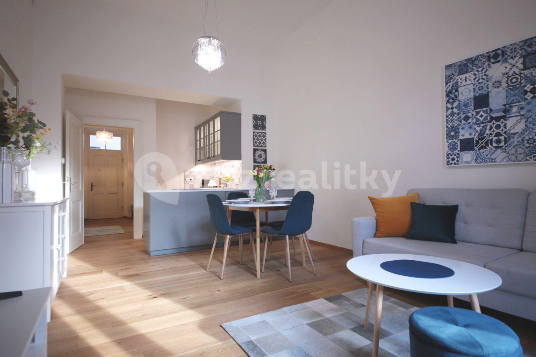 1 bedroom with open-plan kitchen flat to rent, 55 m², Plzeňská, Prague, Prague