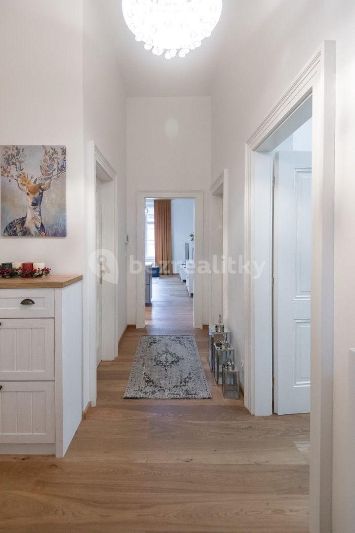 1 bedroom with open-plan kitchen flat to rent, 55 m², Plzeňská, Prague, Prague