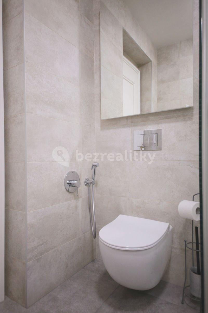 1 bedroom with open-plan kitchen flat to rent, 55 m², Plzeňská, Prague, Prague