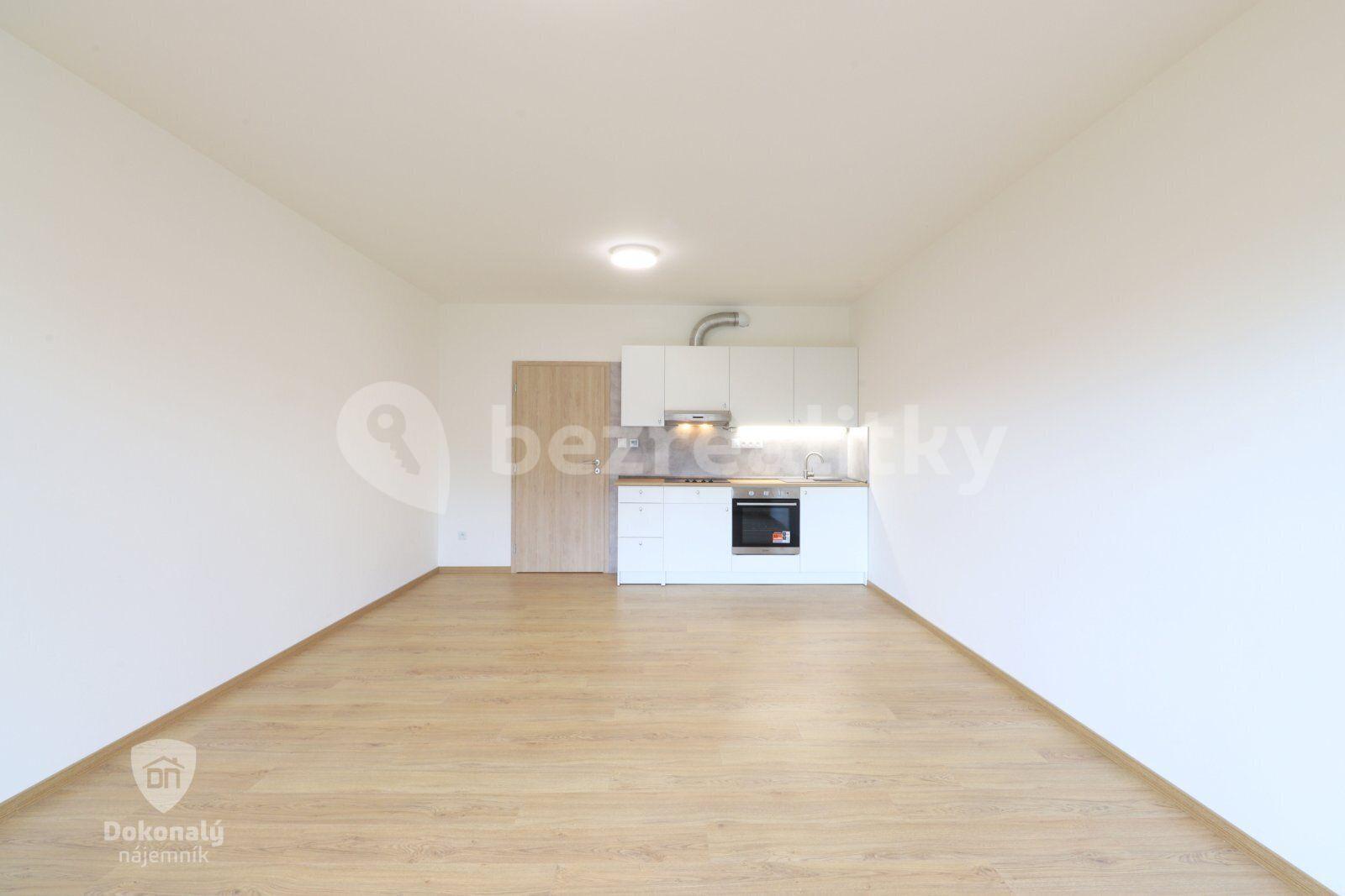 Studio flat to rent, 37 m², Lázeňská, Slaný, Středočeský Region