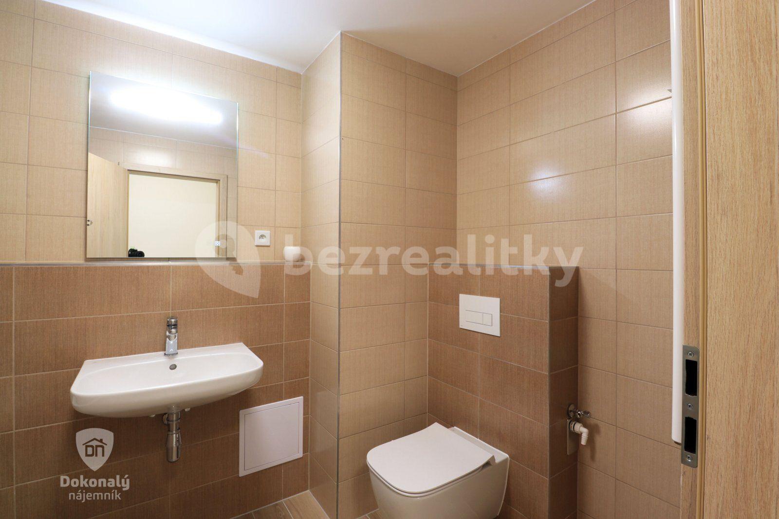 Studio flat to rent, 37 m², Lázeňská, Slaný, Středočeský Region