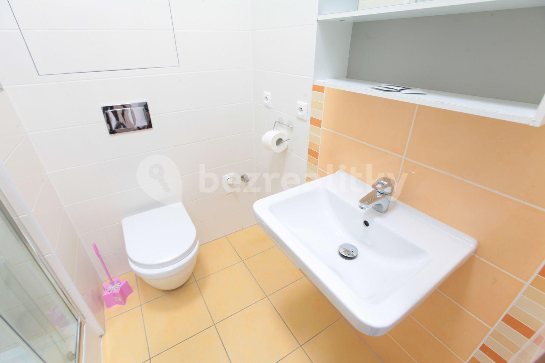 Studio flat to rent, 25 m², Freyova, Prague, Prague