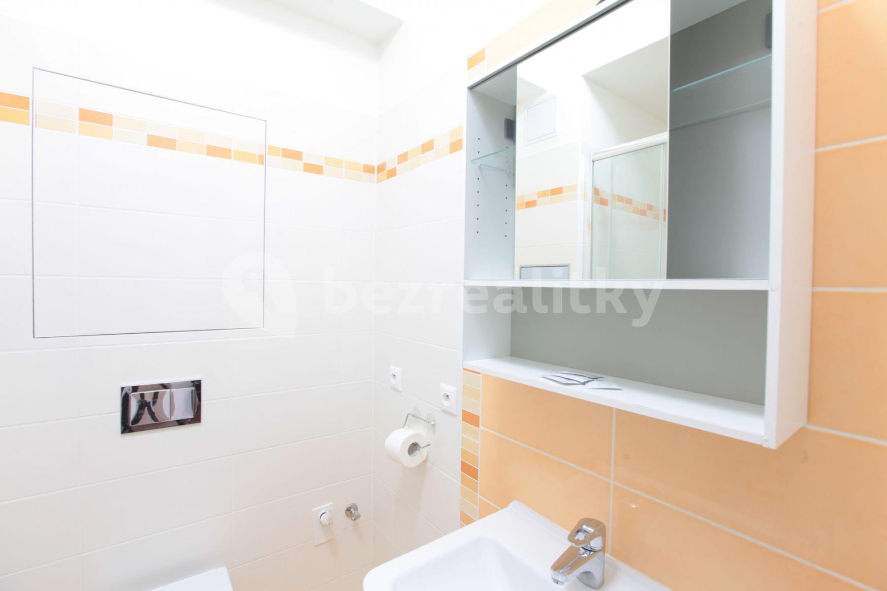 Studio flat to rent, 25 m², Freyova, Prague, Prague