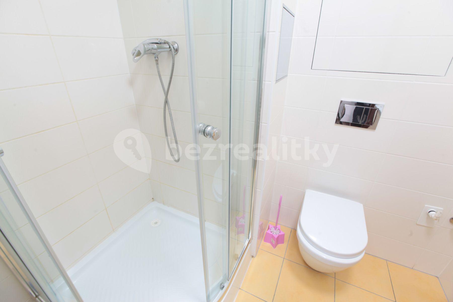 Studio flat to rent, 25 m², Freyova, Prague, Prague