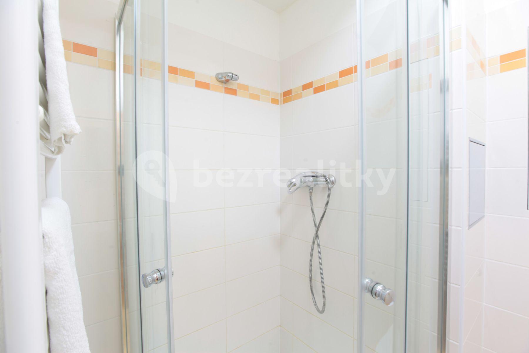 Studio flat to rent, 25 m², Freyova, Prague, Prague