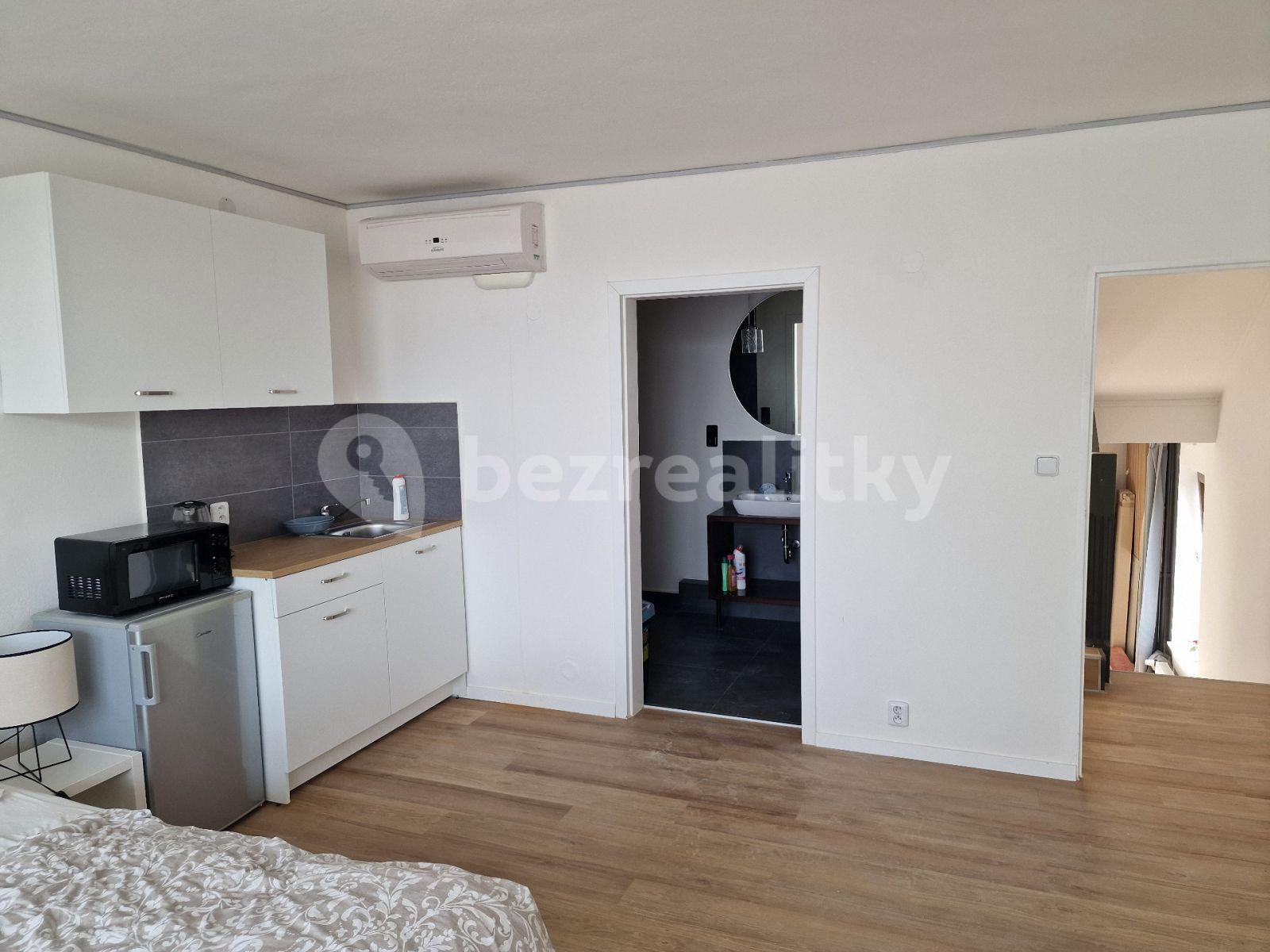 Studio flat to rent, 25 m², K Trninám, Prague, Prague