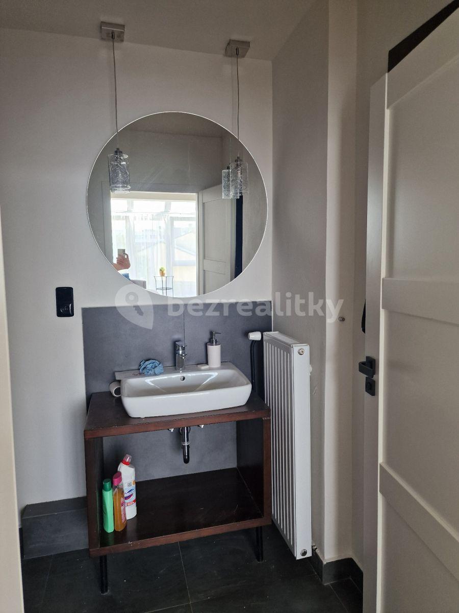 Studio flat to rent, 25 m², K Trninám, Prague, Prague