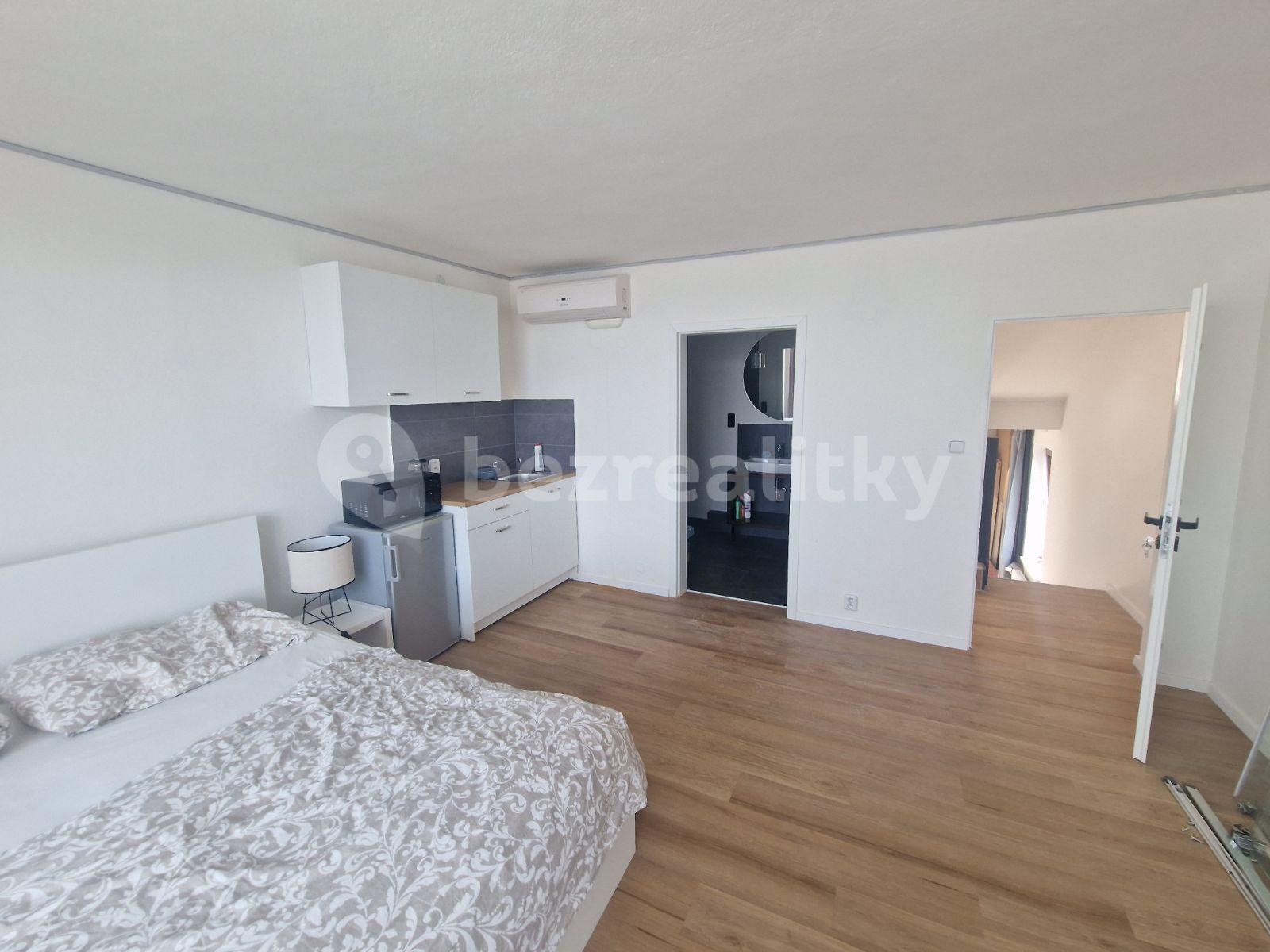 Studio flat to rent, 25 m², K Trninám, Prague, Prague