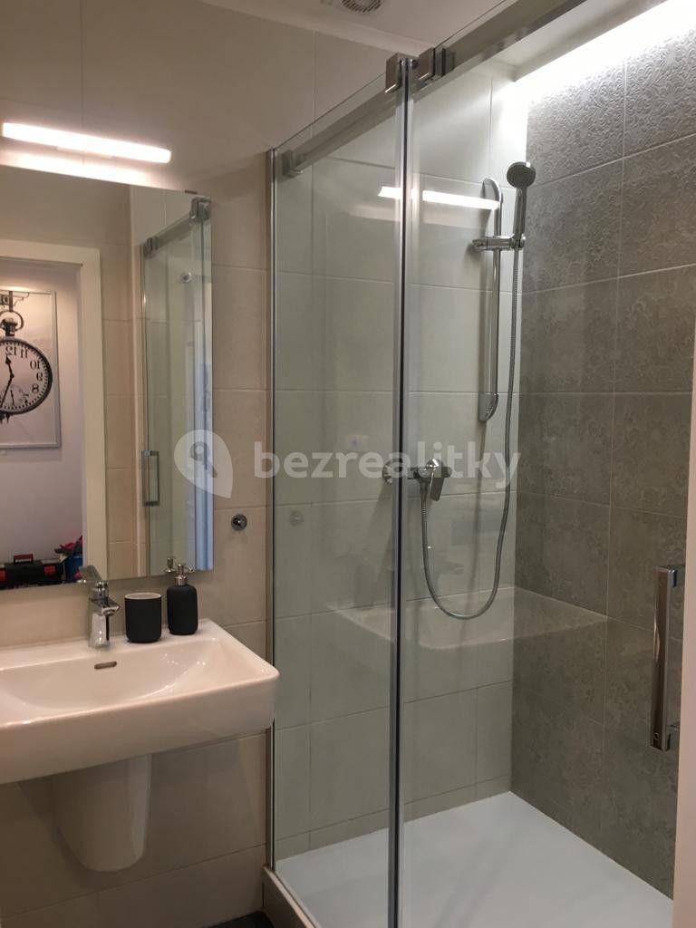 1 bedroom with open-plan kitchen flat to rent, 56 m², náměstí Bratří Synků, Prague, Prague