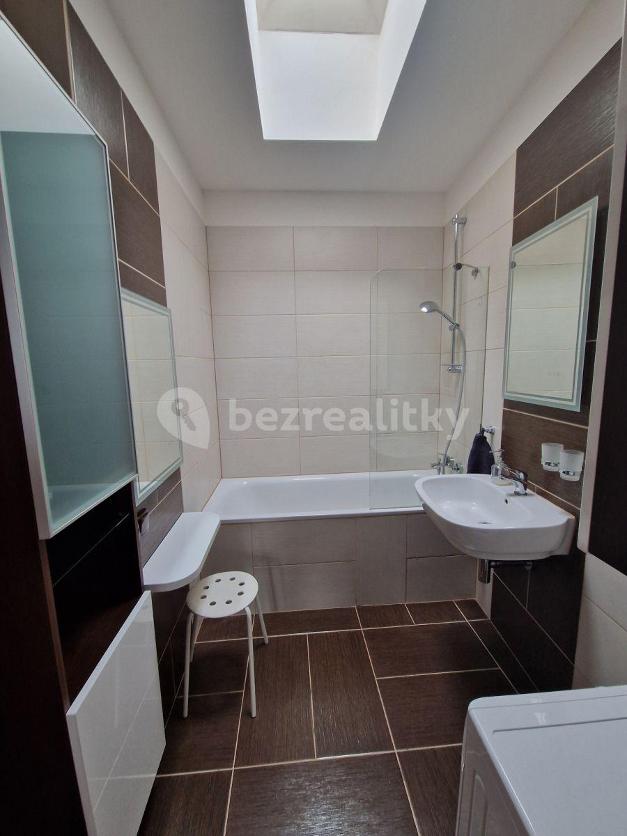 1 bedroom with open-plan kitchen flat to rent, 60 m², U Průhonu, Prague, Prague