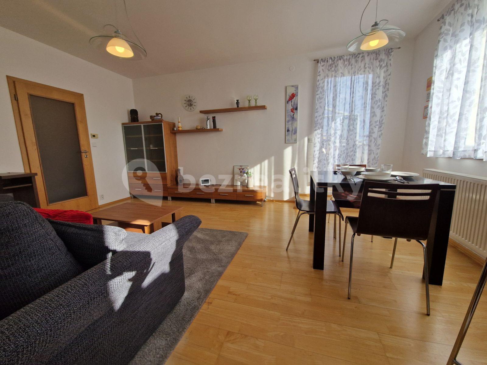 1 bedroom with open-plan kitchen flat to rent, 60 m², U Průhonu, Prague, Prague