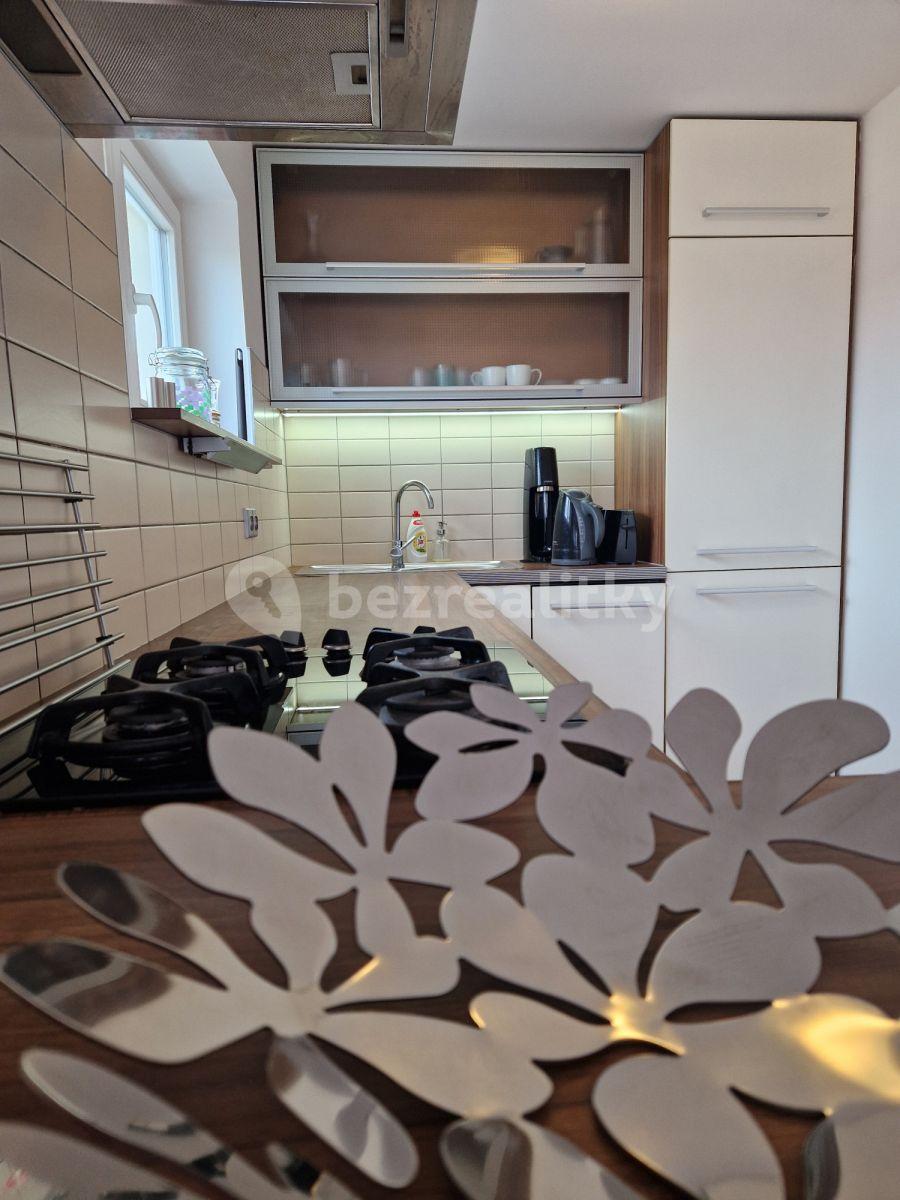 1 bedroom with open-plan kitchen flat to rent, 60 m², U Průhonu, Prague, Prague