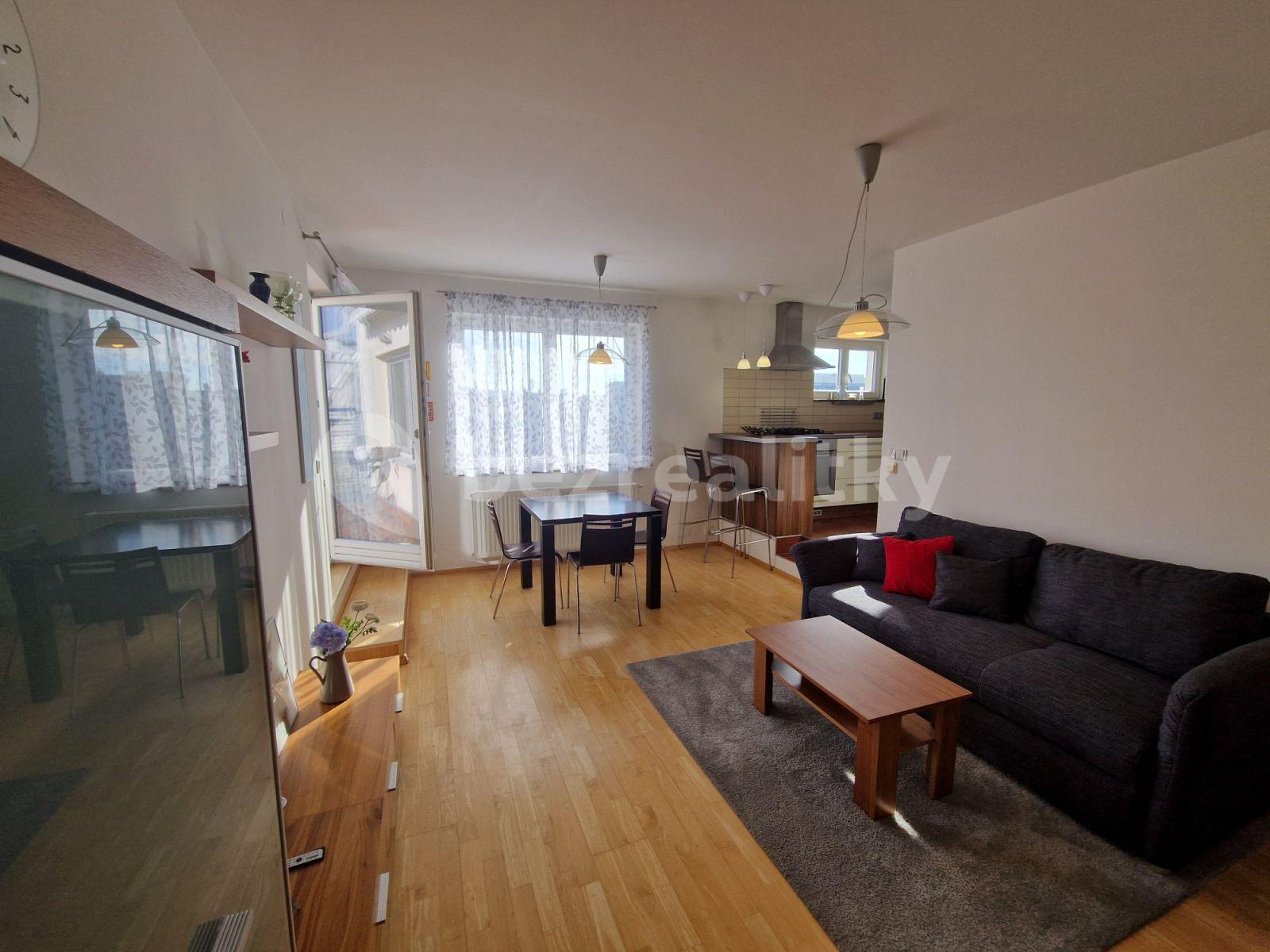 1 bedroom with open-plan kitchen flat to rent, 60 m², U Průhonu, Prague, Prague