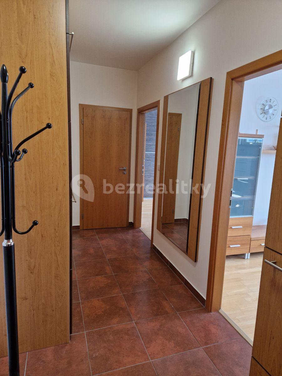 1 bedroom with open-plan kitchen flat to rent, 60 m², U Průhonu, Prague, Prague