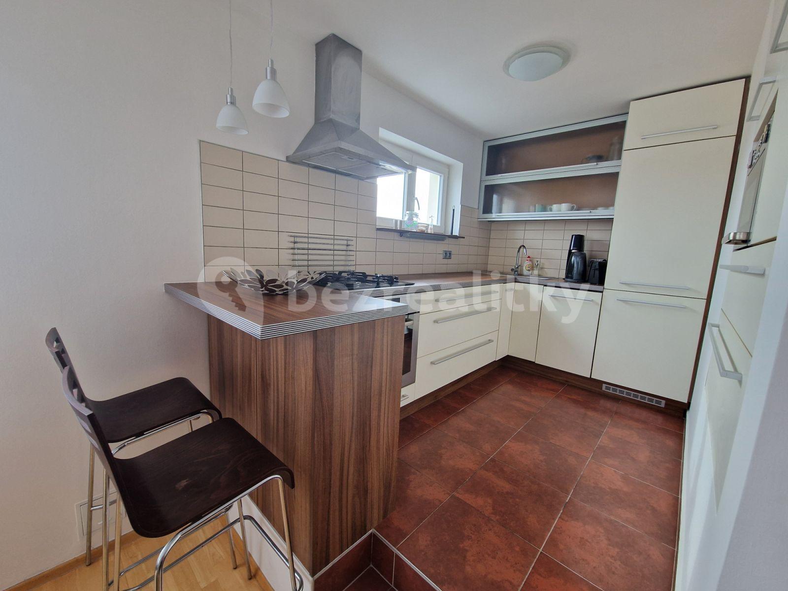 1 bedroom with open-plan kitchen flat to rent, 60 m², U Průhonu, Prague, Prague