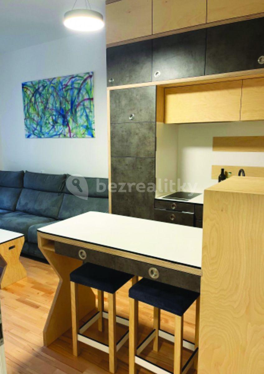 1 bedroom with open-plan kitchen flat to rent, 35 m², Tyršova, Prague, Prague