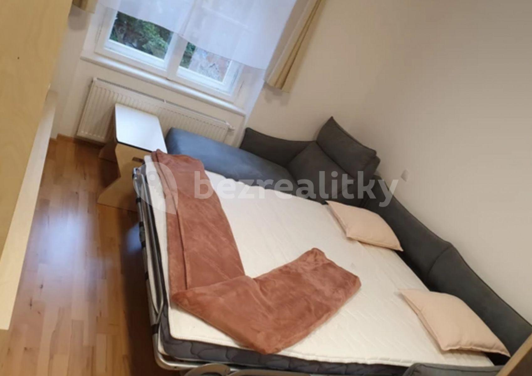 1 bedroom with open-plan kitchen flat to rent, 35 m², Tyršova, Prague, Prague