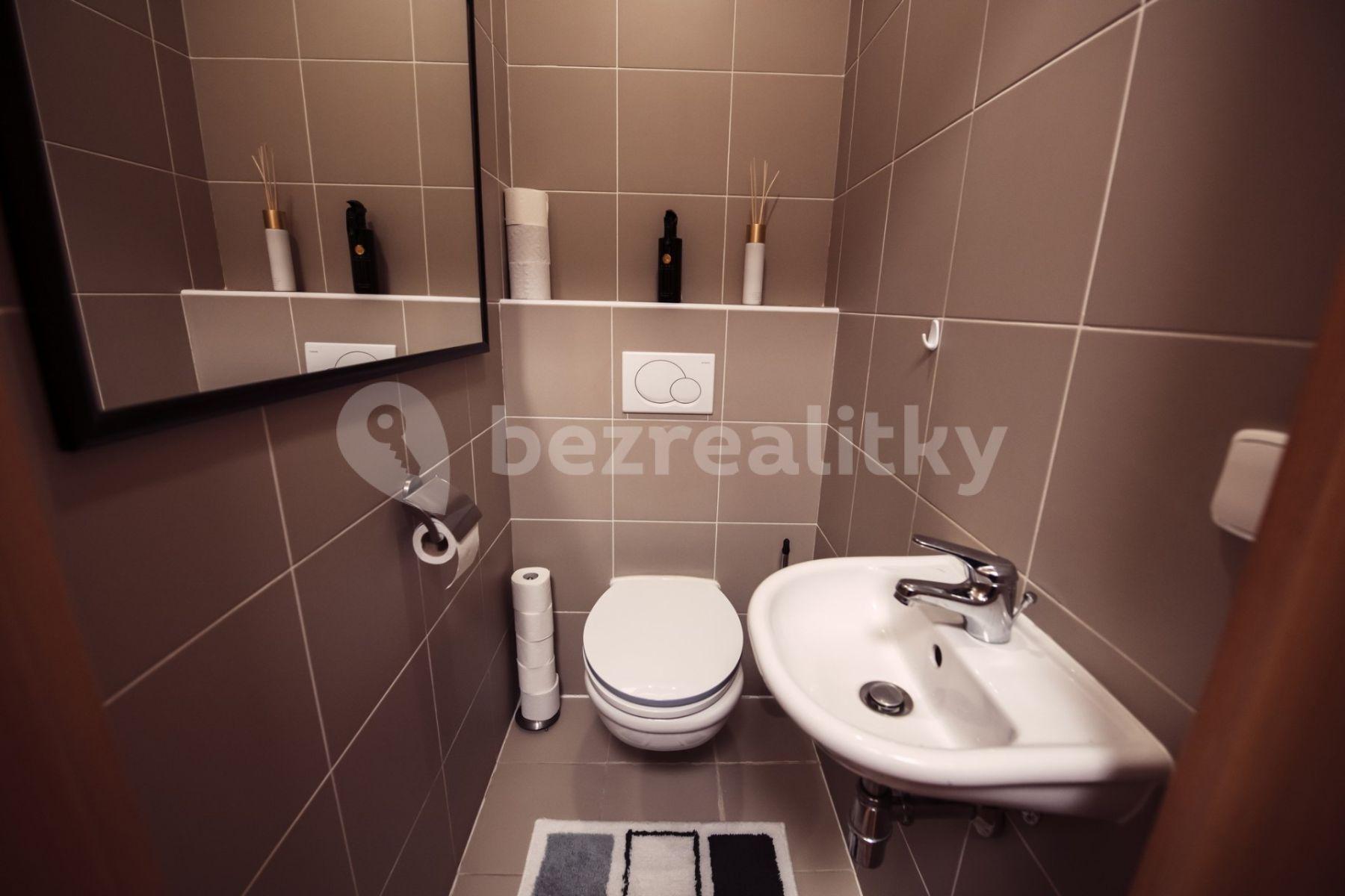 2 bedroom with open-plan kitchen flat to rent, 75 m², U Stanice, Prague, Prague